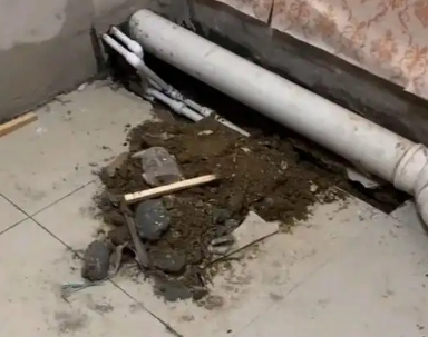 管城区卫生间漏水检测哪家好